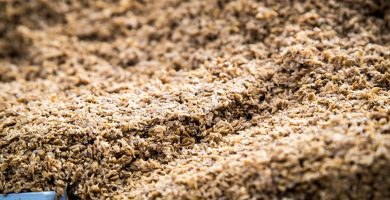 Amateurs de bières spéciales ? attendez de voir ce qu’on vous réserve !