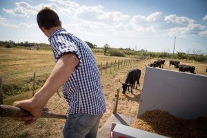 Amateurs de bières spéciales ? attendez de voir ce qu’on vous réserve !