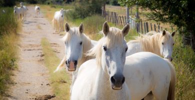 Amateurs de bières spéciales ? attendez de voir ce qu’on vous réserve !