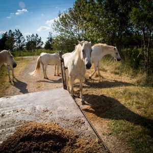 Amateurs de bières spéciales ? attendez de voir ce qu’on vous réserve !
