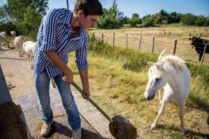 Amateurs de bières spéciales ? attendez de voir ce qu’on vous réserve !