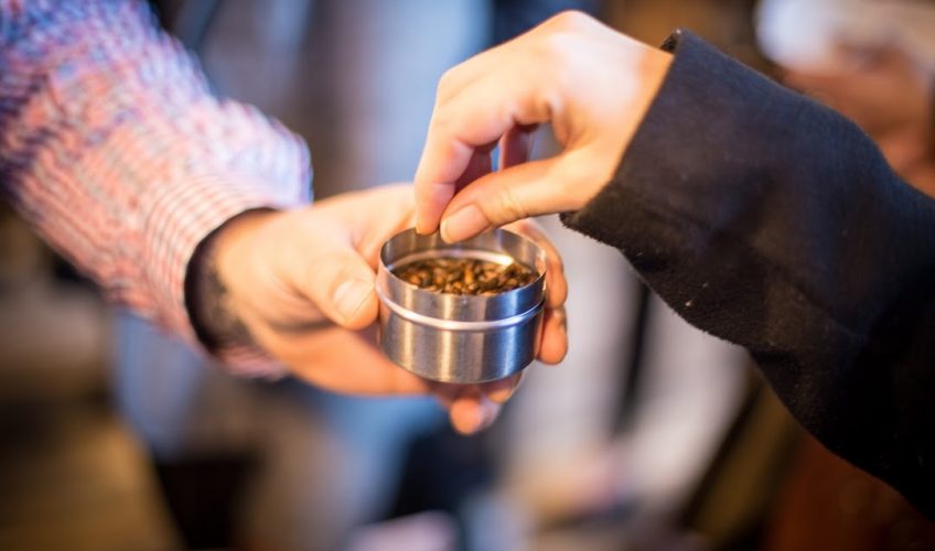 Journée découverte de la Brasserie Alaryk pour les apprentis sommeliers