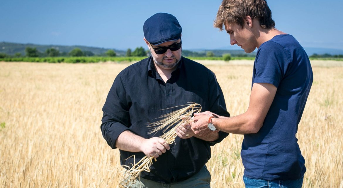 Une orge 100% locale pour nos prochaines bières !